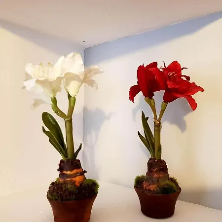 Cortadura Appartement *